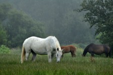 Impressionen 2012