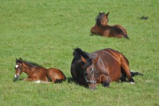 Impressionen 2012